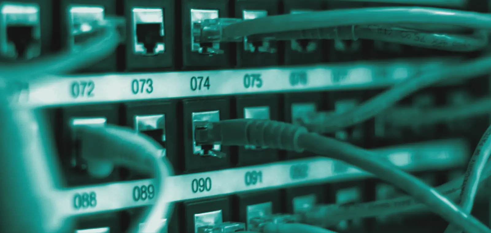 Labelled network patch panel with connected cables